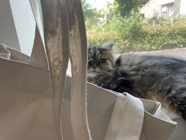 おススメ通帳管理方法