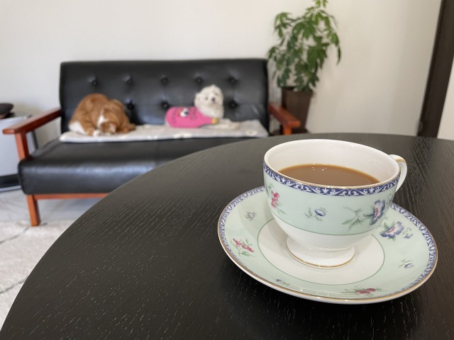 家がパワースポット