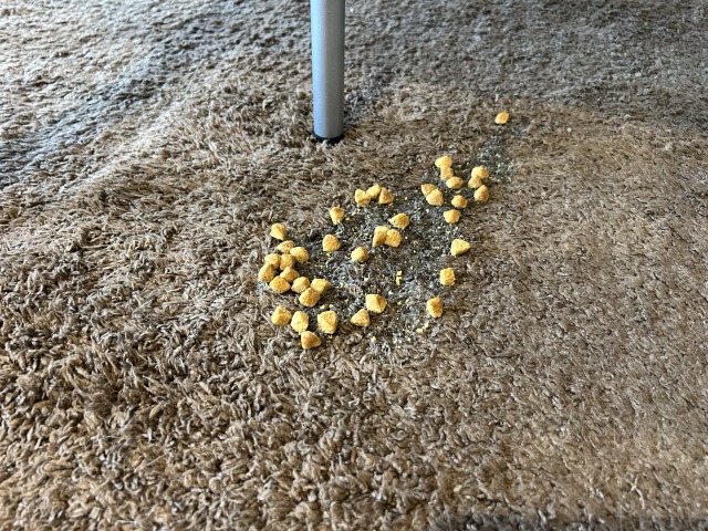 カーペット　掃除方法